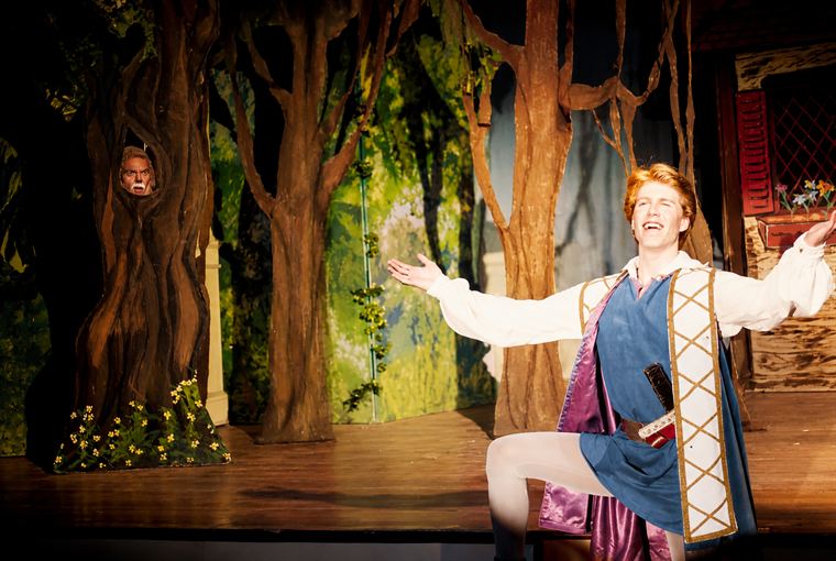 Sleeping Beauty